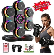 SPZTJK Smart Music Boxing